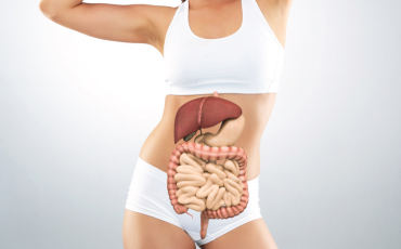 Lean woman with the digestive system graphic overlayed on her abdomen, highlighting gut health, digestion, and menopausal changes.