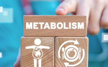 Three wooden blocks stacked vertically: the top block labeled ‘menopause,’ the middle block showing a woman’s body, and the bottom block featuring a plate with clockwise arrows symbolizing metabolism and hormonal changes